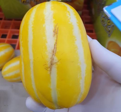 경기도, 전국 최초 ‘아까운 농산물’ 유통 지원…농가소득↑환경오염↓ 기사 이미지