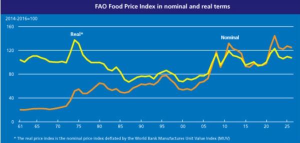 농식품부, 식량농업기구(FAO) 세계식량가격지수 전월 대비 0.9% 상승 기사 이미지