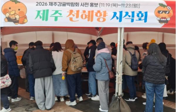 맛으로 승부 봤다’…제주 천혜향, 선호도 122% 우위